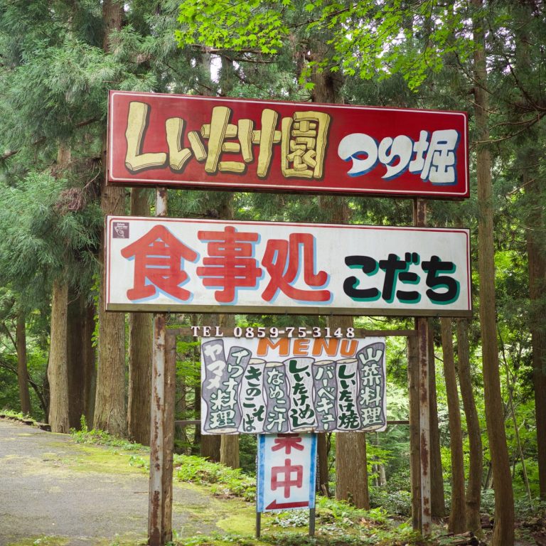 大山のブナ林で味わう至福の料理屋「こだちしいたけ園」